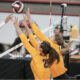 ASU Women's Volleyball gets the victory over Arizona.